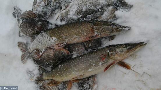 Рыбалка зимой на реке Дон